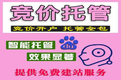 高效推广开户策略案例分析